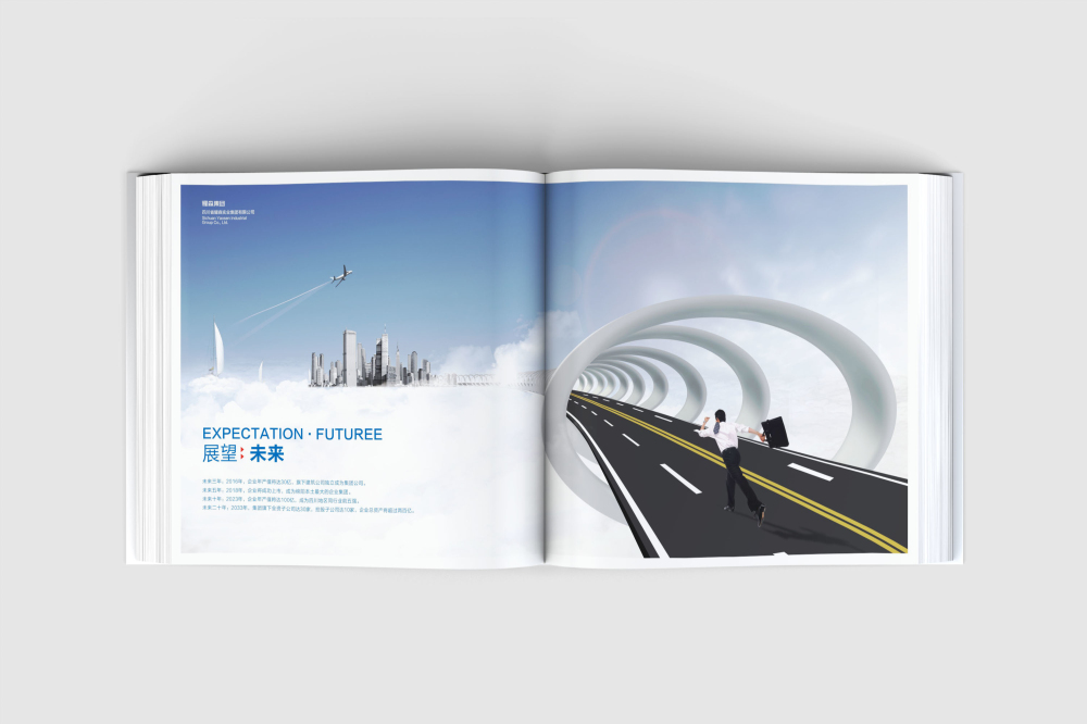 绥江县画册设计